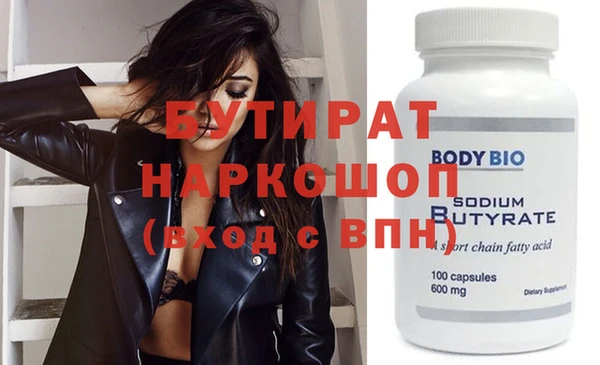 индика Няндома