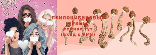 стафф Нязепетровск