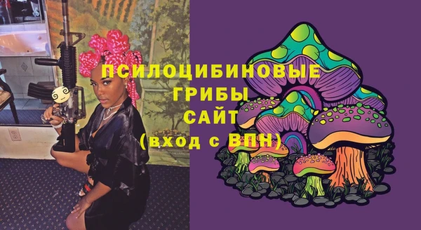 шишки Остров