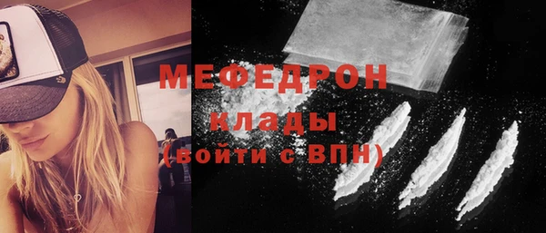 индика Няндома
