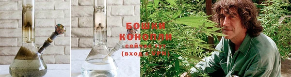 сатива Осинники