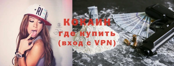 индика Няндома