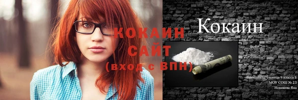 гашик Болхов
