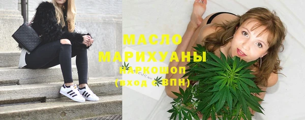 индика Няндома