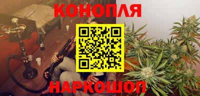 крисы Гагарин