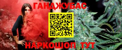 крисы Гагарин