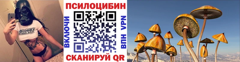 дарнет шоп  Алушта  Псилоцибиновые грибы Psilocybine cubensis 