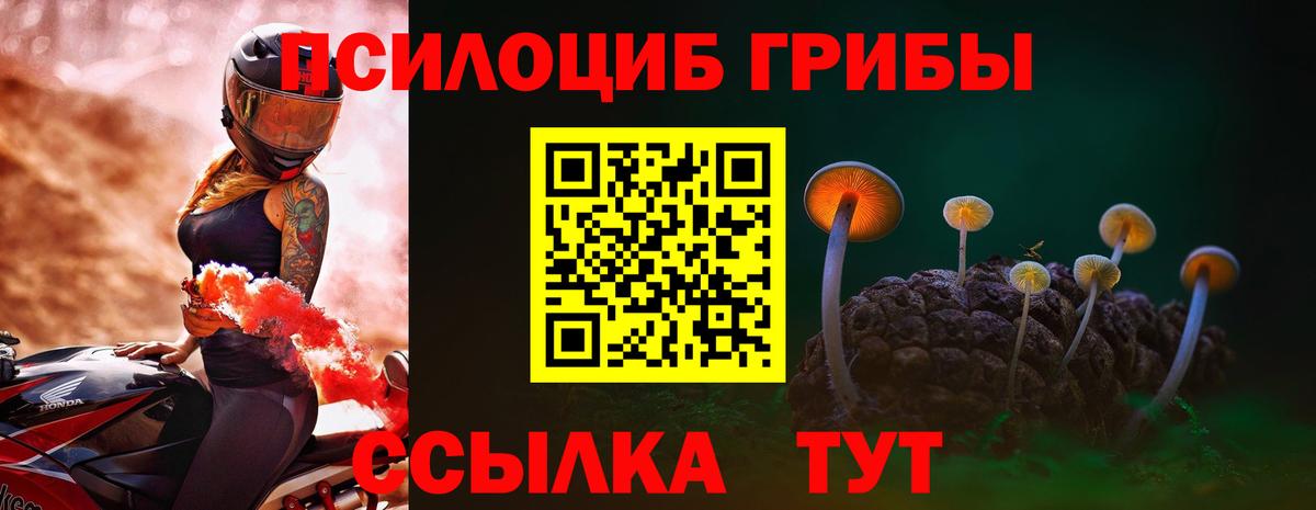 Алушта  Галлюциногенные грибы GOLDEN TEACHER  Вход с VPN 