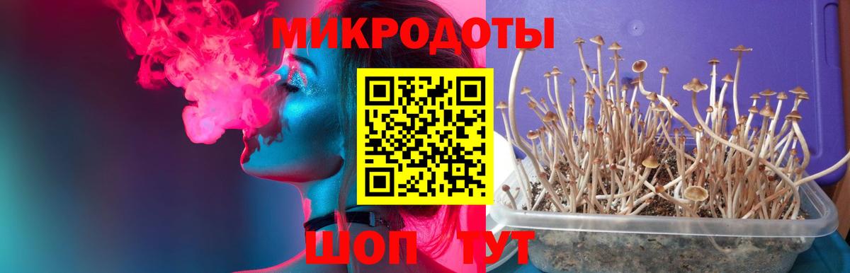 Галлюциногенные грибы мухоморы  Галлюциногенные грибы прущие грибы  наркошоп  Вход с VPN  Алушта 